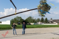 maibaum_17