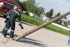 maibaum_18
