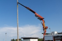 maibaum_20