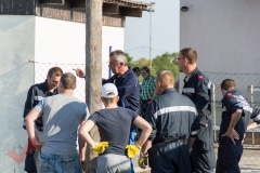 maibaum_26