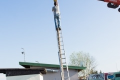 maibaum_28