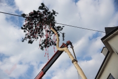 Maibaumaufstellen 05