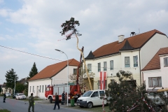 Maibaumaufstellen 07