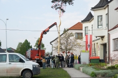 Maibaumaufstellen 09