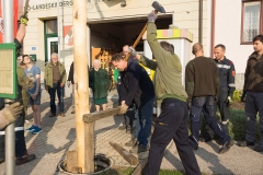 Maibaumaufstellen 14