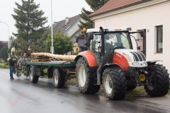 Maibaum-2019-01