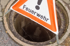 Maibaum-2019-02