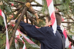 Maibaum-2019-04