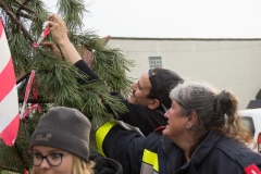 Maibaum-2019-05
