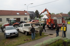 Maibaum-2019-07