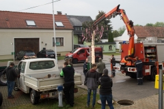 Maibaum-2019-08