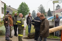 Maibaum-2019-14