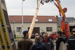 Maibaum-2019-17