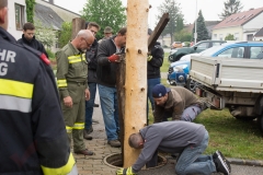 Maibaum-2019-25
