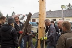 Maibaum-2019-26