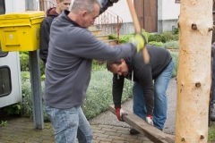 Maibaum-2019-27