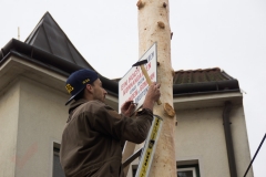 Maibaum-2019-32
