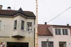 Maibaum-2019-36