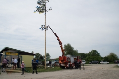 SC Breitensee Maibaum 21