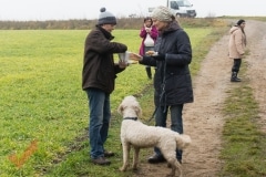 silvesterwandertag_94