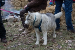 Silvesterwandertag 2018 073