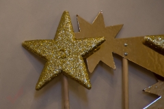Sternsinger 2018 02