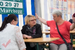 orf_sommertour_breitensee_012