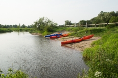 DSC05751