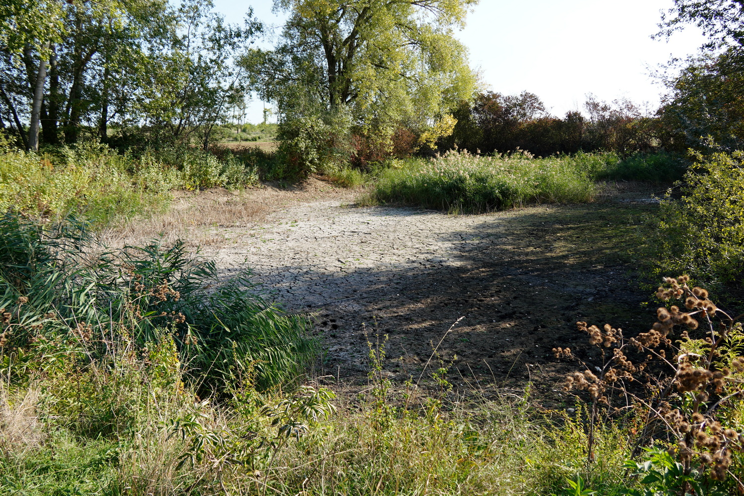 Wallfahrt-Griossenbrunn-2026-14