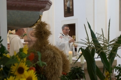 Wallfahrt-in-Groissenbrunn-23