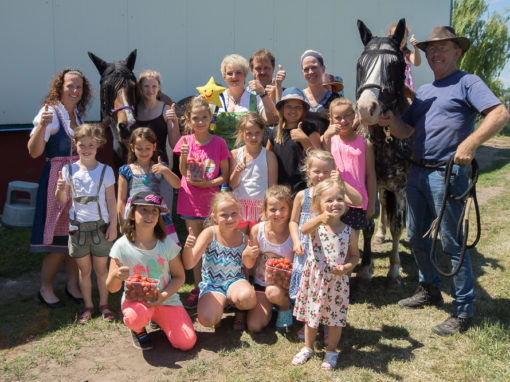 4. Erdbeerfest der Familie Schmid in Breitensee