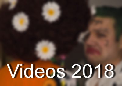 Gschnas Video 2018