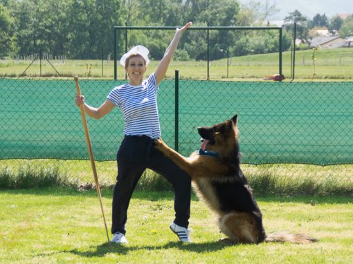Dogdance Turnier 2019