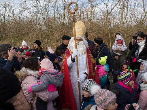 Der Nikolaus kommt nach Breitensee