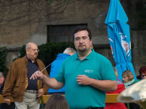 Platzkonzert im Schlosspark