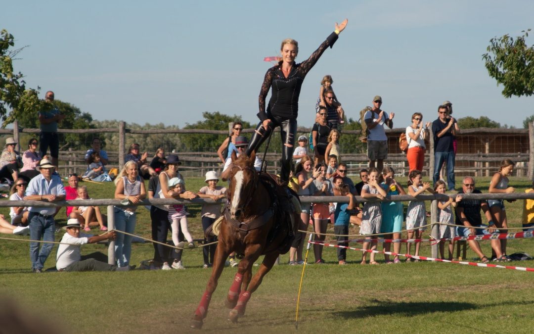 Pferdefest in Schlosshof