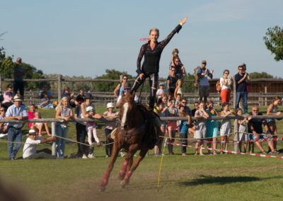 Pferdefest in Schlosshof