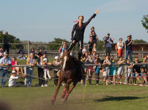 Pferdefest in Schlosshof