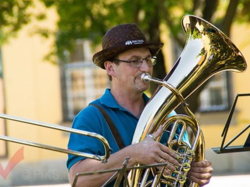 Weisenblasen 2015