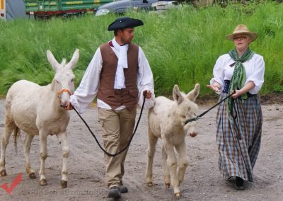 Tierumzug in Schlosshof 2011