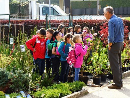 Baumschule Hemmelmeyer Besuch Volksschule Engelhartstetten 2013