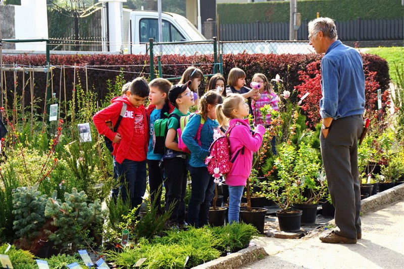 Baumschule Hemmelmeyer Besuch Volksschule Engelhartstetten 2013