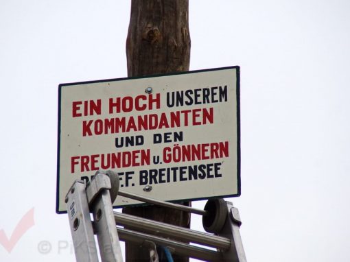 Maibaumaufstellen 2013
