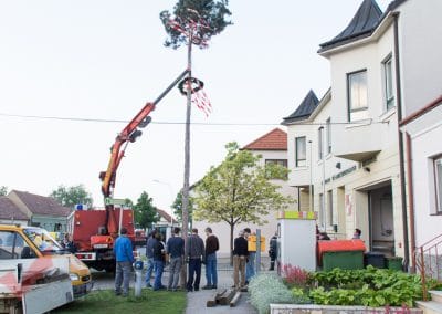 Maibaum aufstellen 2014