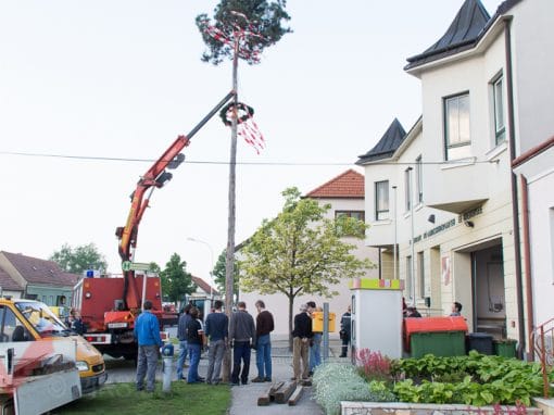 Maibaum aufstellen 2014
