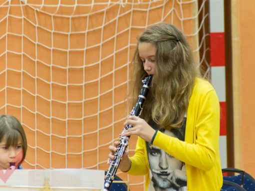 Musikschule Marchegg 2013