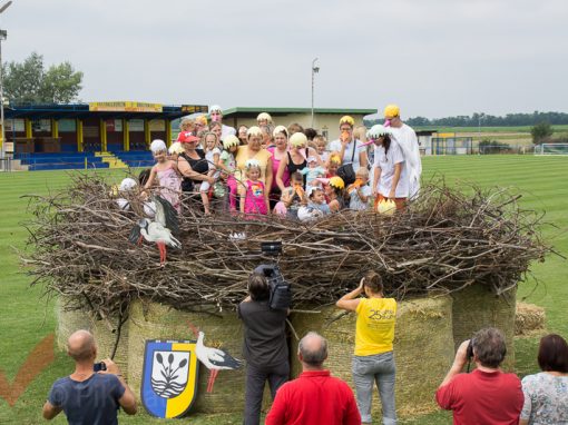 Storchenfest Breitensee ORF Sommertour 2014