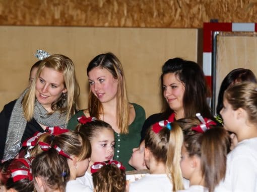 Aufführung der Panthers-Cheerleader 2013