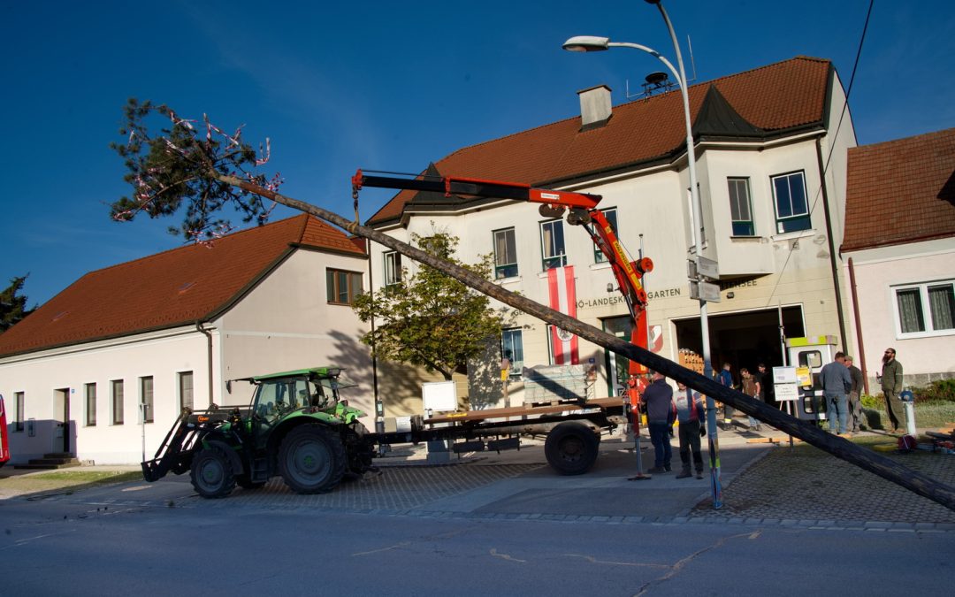 Maibaumaufstellen