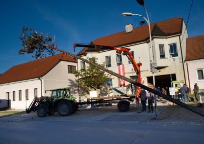 Maibaumaufstellen